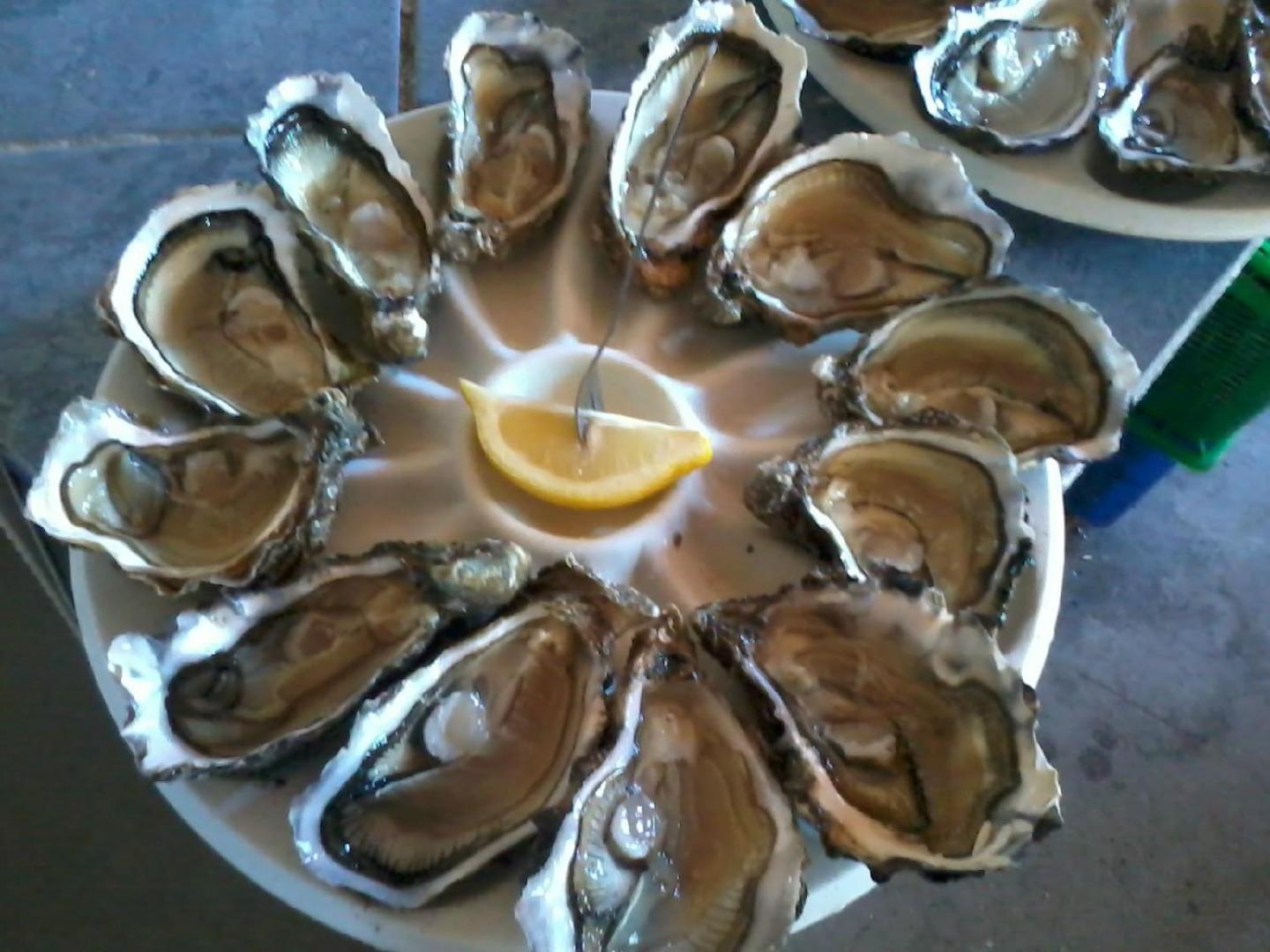 Dégustation d'huîtres fraîches Bassin d'Arcachon